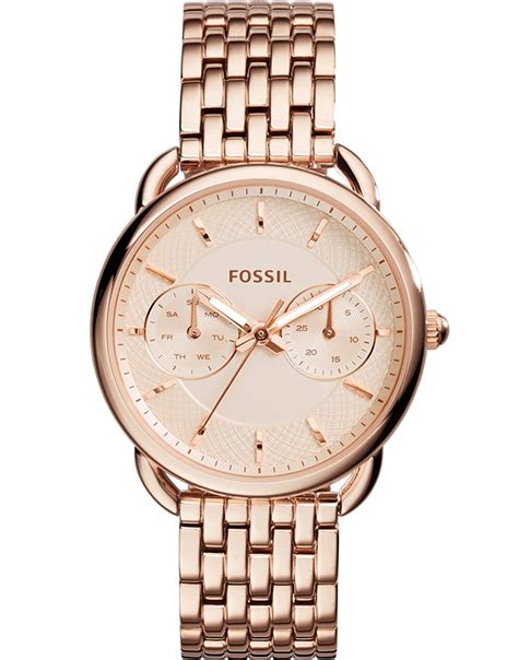 ceas fossil dama b&b